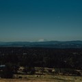 DSC_5481